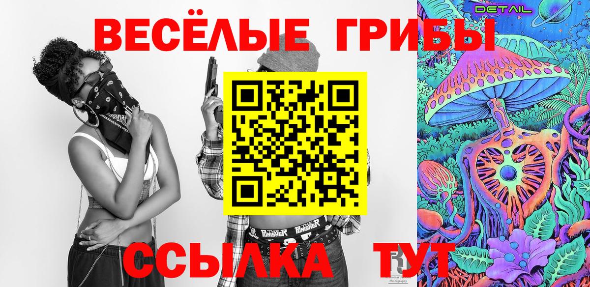 Галлюциногенные грибы Psilocybe Белово